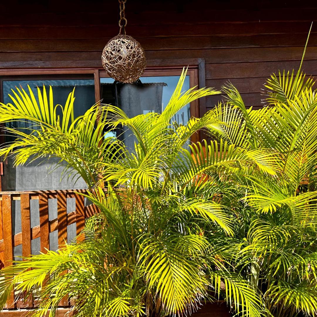 Ecoco Holbox - Ecochic - Cabanas De Madera - Holbox Retreat Εξωτερικό φωτογραφία