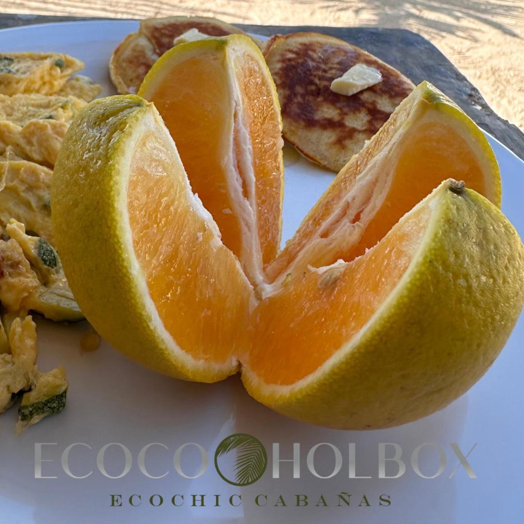 Ecoco Holbox - Ecochic - Cabanas De Madera - Holbox Retreat Εξωτερικό φωτογραφία